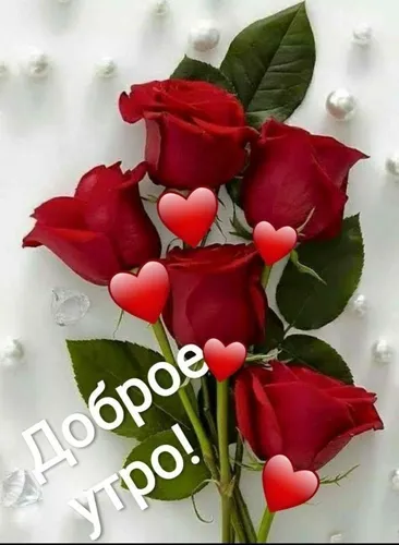 Красивые С Добрым Утром Картинки группа красных роз