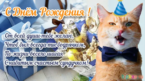Прикольные С Днем Рождения Мужчине Картинки кошка в праздничной шляпе