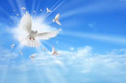 С Благовещением Картинки группа птиц, летающих в небе