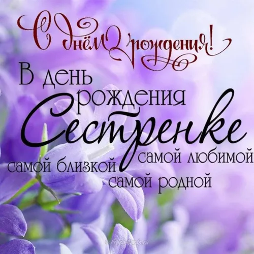 С Днем Рождения Сестра Картинки крупный план фиолетовых цветов