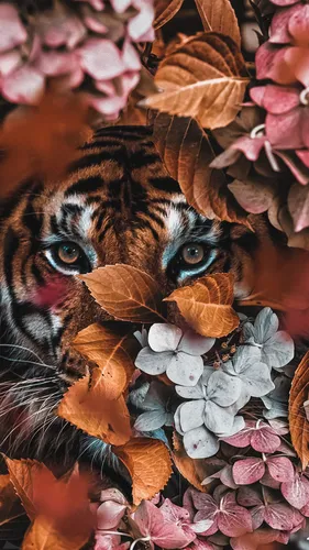 Тигр Обои на телефон кошка в куче листьев