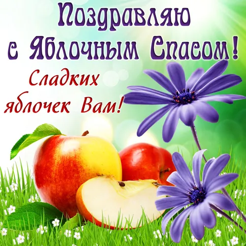 Яблочный Спас Картинки группа фруктов и цветов