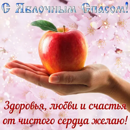 Яблочный Спас Картинки рука держит красное яблоко