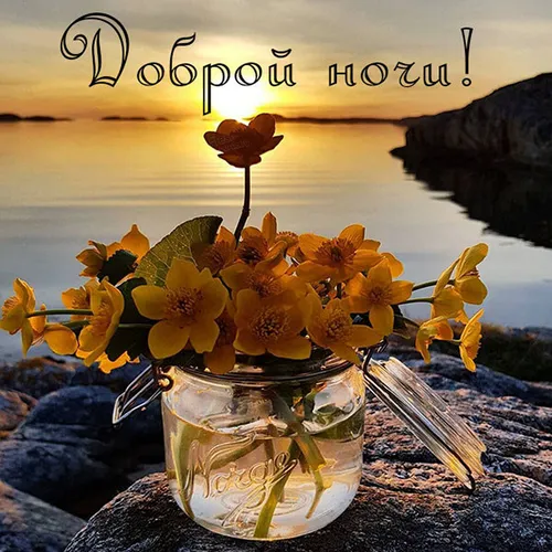 Доброй Ночи Красивые Необычные Картинки ваза с желтыми цветами