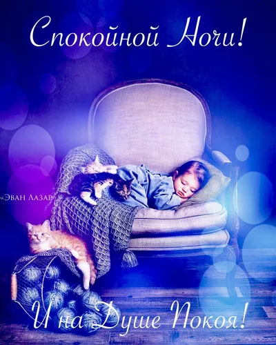 Доброй Ночи Красивые Необычные Картинки человек, лежащий на стуле с кошкой на коленях