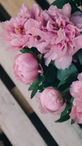 Цветы Hd Обои на телефон букет розовых цветов