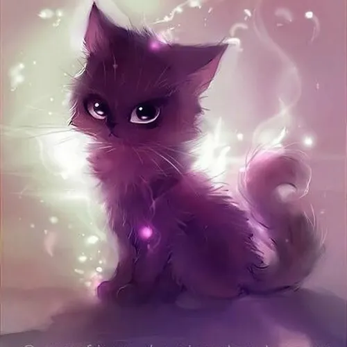 Котиков Картинки кошка со светящимися глазами