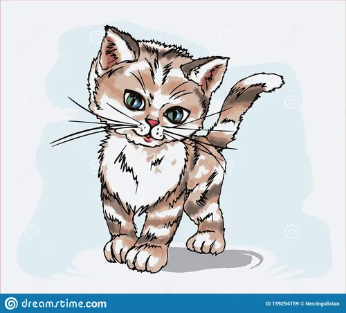 Котиков Картинки кот с мультяшной головой