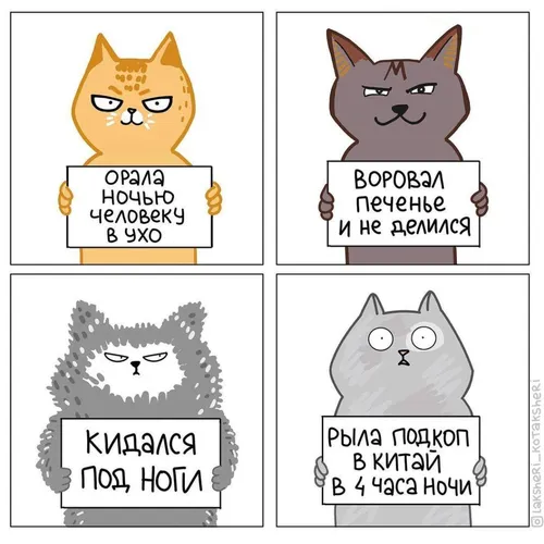 Котиков Картинки форма