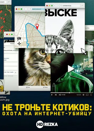Котиков Картинки скриншот кота