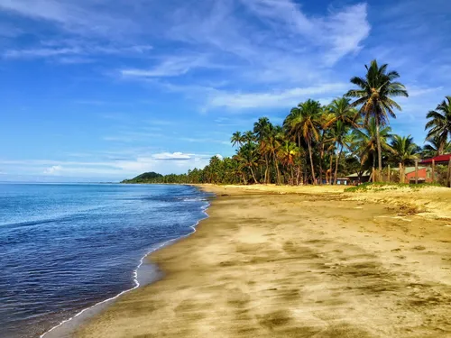 Море Картинки пляж с пальмами и водой