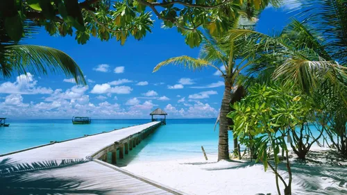 Море Картинки пляж с пальмами и пристань