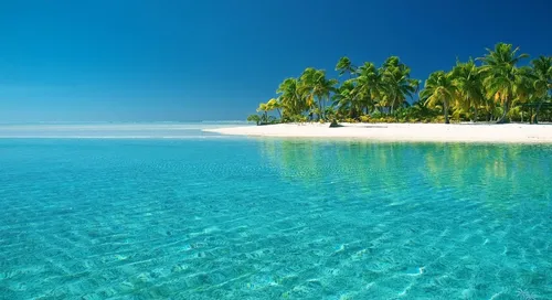 Море Картинки пляж с пальмами
