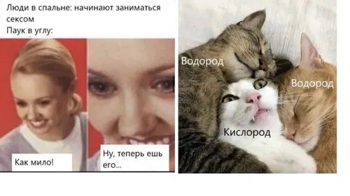 Приколы Картинки коллаж кота и ребенка