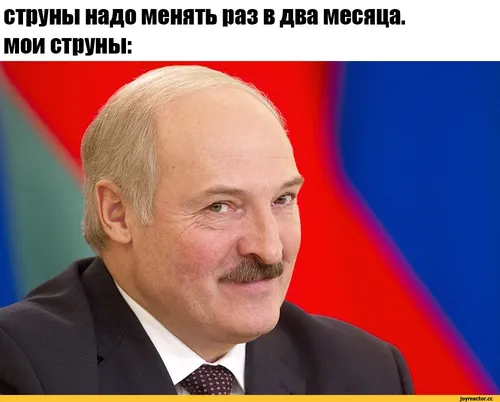 Александр Лукашенко, Приколы Картинки мужчина с усами