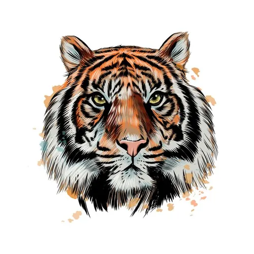Тигра Картинки тигр с желтыми глазами
