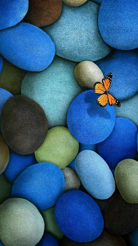 Красивые На Телефон Картинки бабочка на скале