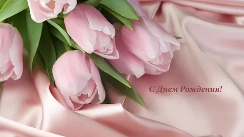 Красивые С Днем Рождения Картинки крупный план розовых цветов