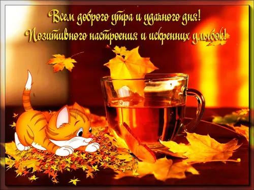 Красивые С Добрым Осенним Утром Картинки стакан чая и кувшин чая на столе