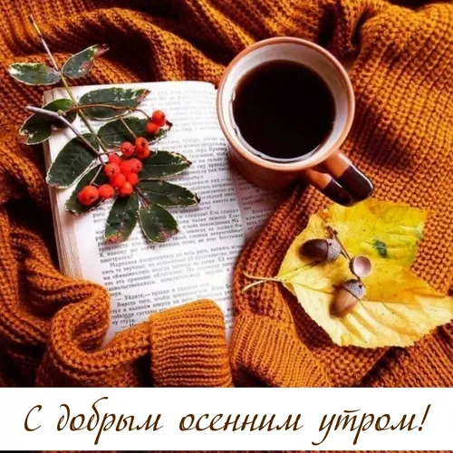 Красивые С Добрым Осенним Утром Картинки чашка кофе и книга