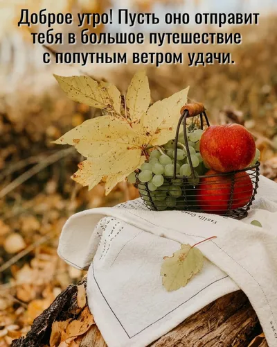 Красивые С Добрым Осенним Утром Картинки лист и красное яблоко на белой поверхности