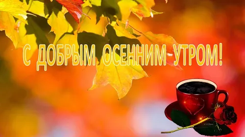 Красивые С Добрым Осенним Утром Картинки чашка кофе и лист