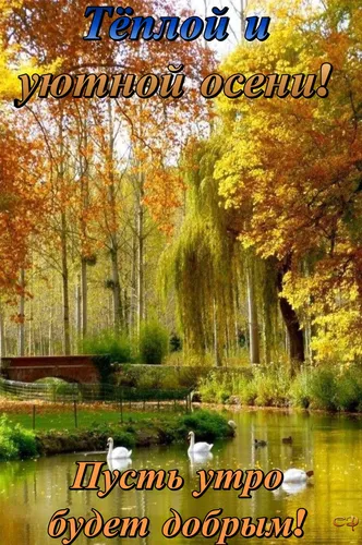 Красивые С Добрым Осенним Утром Картинки река с деревьями вокруг