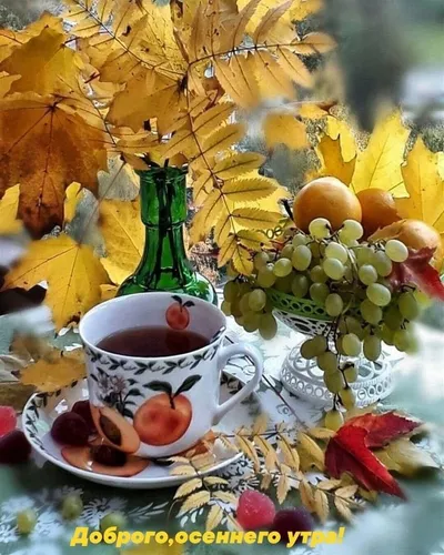 Красивые С Добрым Осенним Утром Картинки чашка чая и цветы