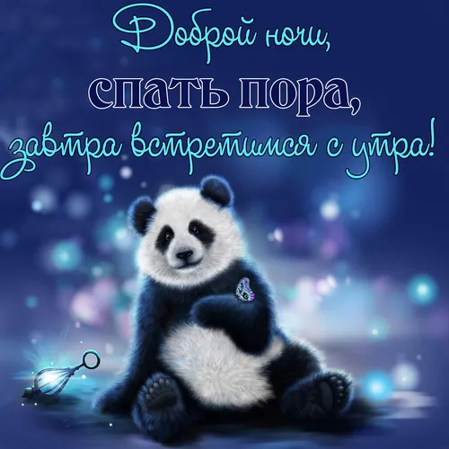 Креативные Спокойной Ночи Картинки панда сидит на синем фоне
