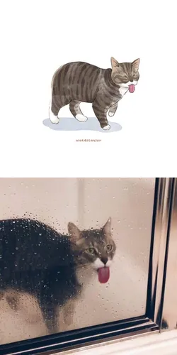 Мемные Картинки кот, стоящий на полке