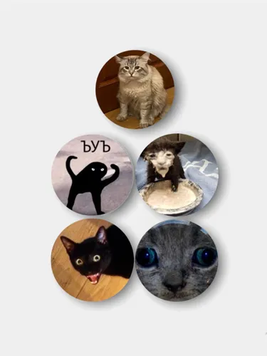 Мемные Картинки группа кошек с нарисованными на них лицами