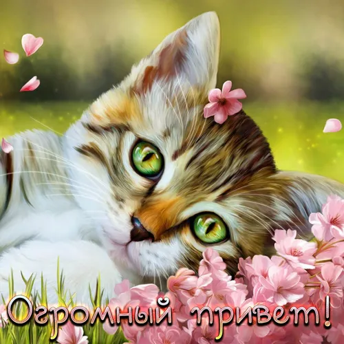 Привет Картинки кошка с цветами на голове