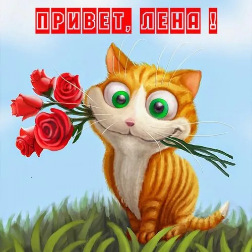 Привет Картинки кошка с цветочной короной