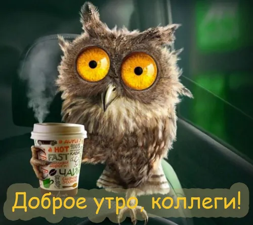 Прикольные С Добрым Утром Картинки птица с чашкой кофе