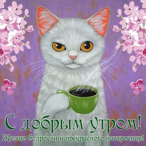 Прикольные С Добрым Утром Картинки кошка с миской еды во рту