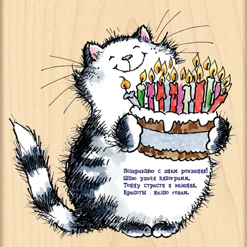 Прикольный С Днем Рождения Мужчине Картинки рисунок кошки