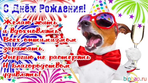 Прикольный С Днем Рождения Мужчине Картинки собака в солнцезащитных очках и галстуке-бабочке