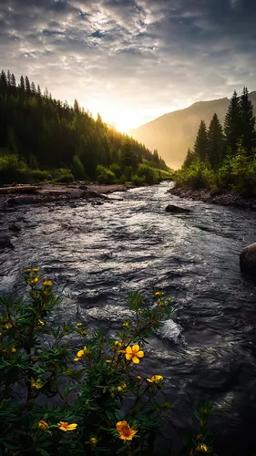 Природа Картинки река с желтыми цветами и деревьями