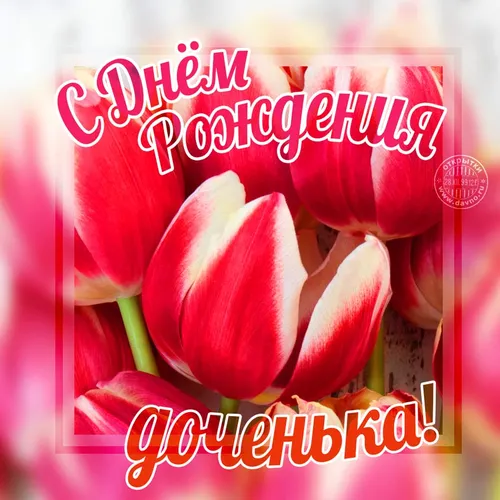 С Днем Рождения Дочки Картинки группа красных тюльпанов