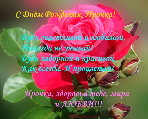 С Днем Рождения Ирина Картинки крупный план цветка