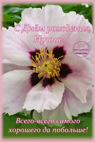 С Днем Рождения Ирина Картинки цветок с желтым центром
