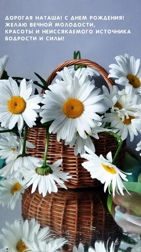 С Днем Рождения Наташа Картинки корзина белых цветов