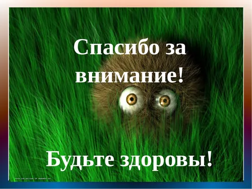 Спасибо За Внимание Картинки графический интерфейс пользователя, текст