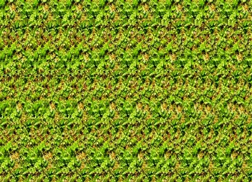3Д Картинки поле зеленых растений