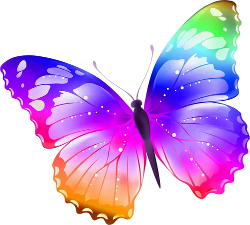 Бабочки Картинки пара разноцветных бабочек