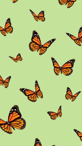 Бабочки Картинки группа бабочек, летающих в небе