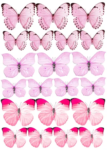 Бабочки Картинки фоновый узор