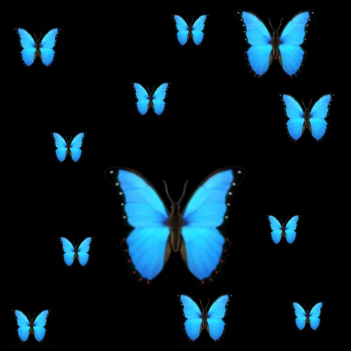 Бабочки Картинки группа синих и белых звезд