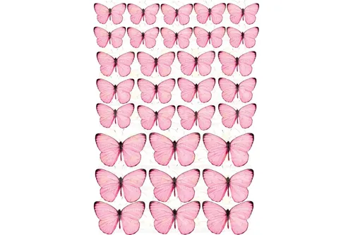 Бабочки Картинки сердце из розовых и белых сердец