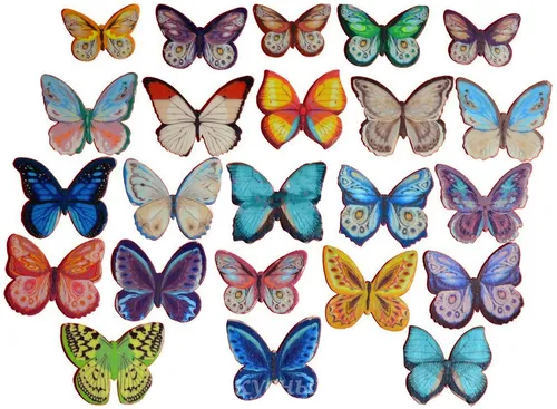 Бабочки Картинки форма